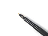 Wyvern No.10. Hard Rubber Eyedropper
