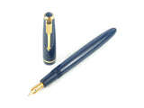 Parker Victory Mk.V in Blue