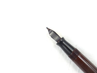 Waterman 502 fountain pen