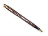 Waterman 502 fountain pen