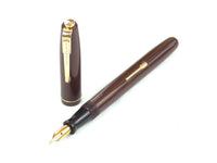 Waterman 502 fountain pen