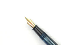 Waterman W5 in Pearl Blue Striated