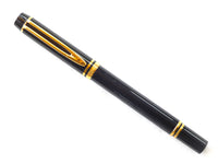 Waterman Le Man 200