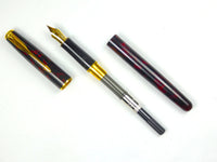 Parker Sonnet Premier in Laque Autumn Red