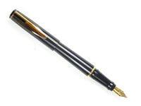 Waterman Reflex