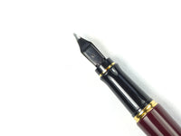 Waterman Expert Mk.1