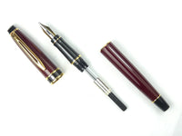 Waterman Expert Mk.1