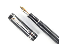 Parker Duofold Demi Platinum