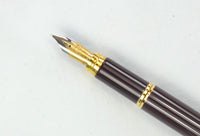 Waterman Man 200 set in Burgundy