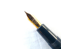 Parker Victory Mk.V in Blue