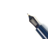 Parker Victory Mk.V in Blue