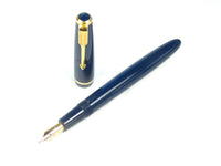 Parker Victory Mk.V in Blue