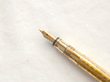  Parker Lucky Curve Spoon Clip Pen in Spiral Brocade