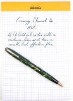 Conway Stewart 14 in Marbled Green