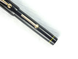 John Holland Hard Rubber Lever filler