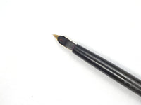 Waterman's no.12 eyedropper