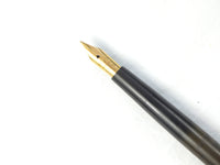 Waterman's no.12 eyedropper
