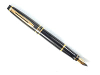 Waterman Expert Mk.II in Black