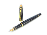 Waterman Expert Mk.II in Black