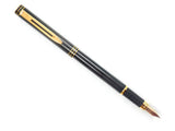 Waterman Exclusive in Black