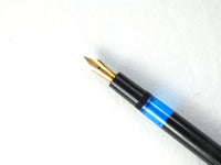 KrooKs Standard German Piston Filler, 14Ct. Gold Flex Nib
