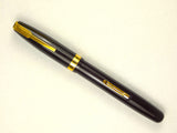 Waterman's 515 in Brown