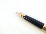 Parker 65 Custom Insignia.