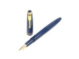Parker Victory Mk.V in Blue