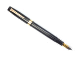 Vintage Onoto Magna 1876 Plunger Filler.