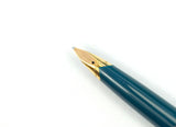 Parker 65 De Luxe. Broad Stub Nib