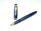 Parker Victory Mk.V. in Blue