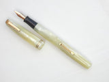 Waterman's Nurses Pen/Pencil Set