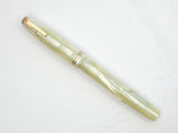 Waterman's Nurses Pen/Pencil Set