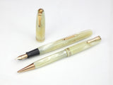 Waterman's Nurses Pen/Pencil Set