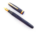 Waterman 515 in Blue