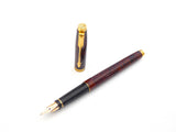 Parker 75 in Laque Thuya