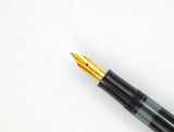 Pelikan M150 Old Style