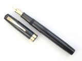 Waterman's Ink-Vue