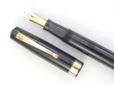Waterman's Ink-Vue