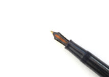 Waterman's Ink-Vue