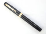 Waterman's Ink-Vue