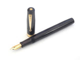 Waterman's Ink-Vue
