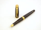 Waterman Charleston GT in Ebony Black
