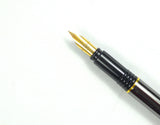 Waterman Maestro Lacquered Gunmetal
