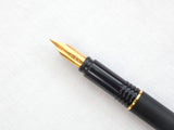 Waterman Maestro in Matt Black
