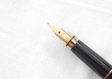 Parker 75 in Laque Thuya