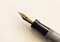 Swan 3230 pen