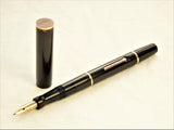 Swan SF1 pen